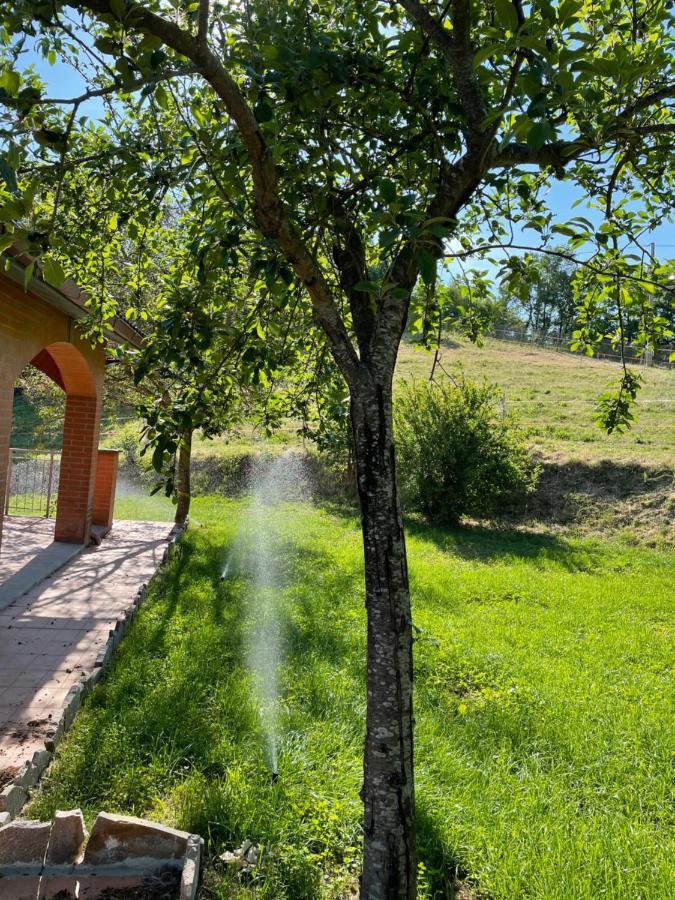 Luxury Villa Arianna Tarano Dış mekan fotoğraf
