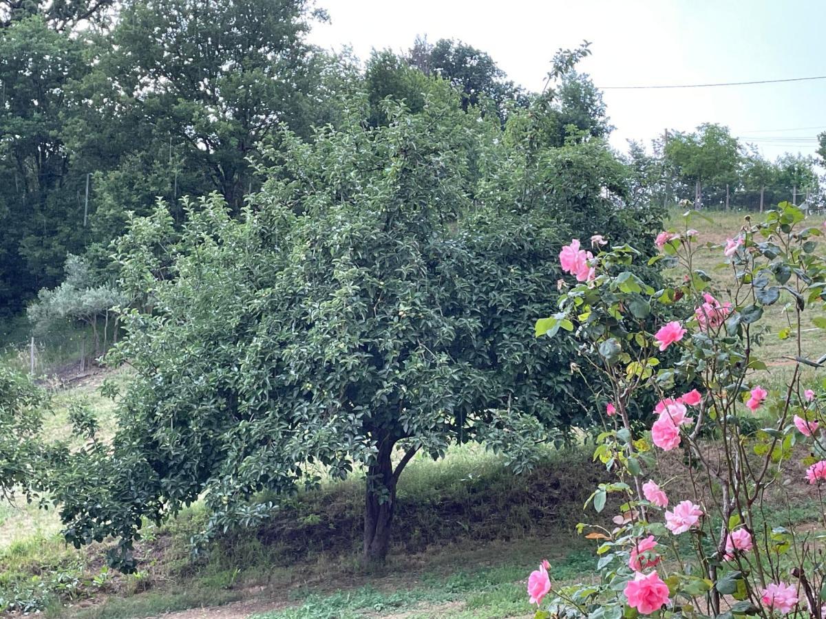 Luxury Villa Arianna Tarano Dış mekan fotoğraf