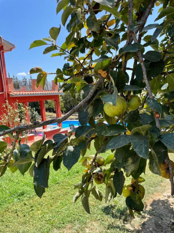 Luxury Villa Arianna Tarano Dış mekan fotoğraf